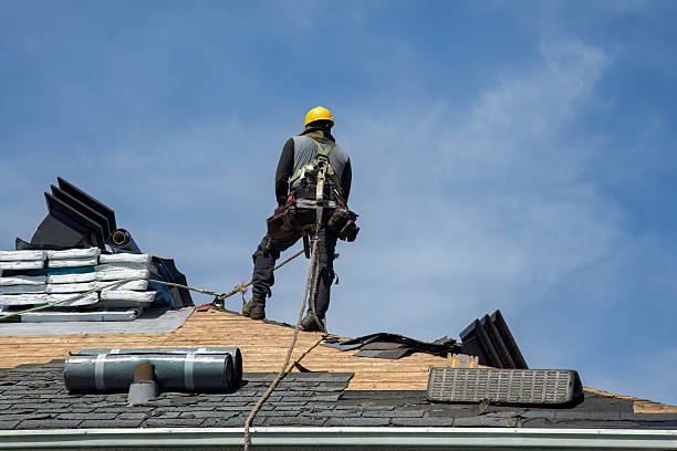 Professional Metal Roofing technician working in Hills, IA